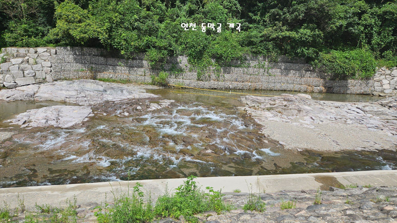수정-연천동막골계곡